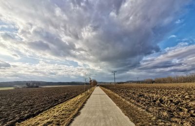 Fotogalerie: Jarní procházka Telčí