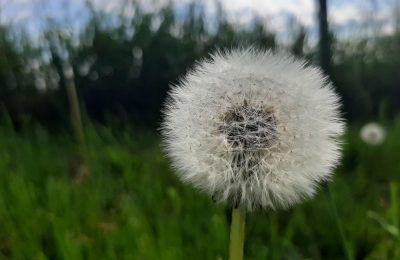 Květen pohledem fotoaparátu