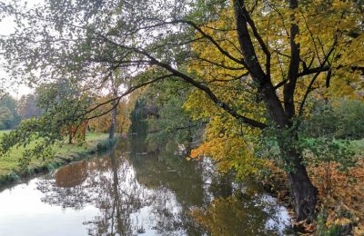 Důvody, proč si oblíbit podzim